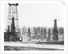 Signal Hill Oil Derricks by Anonymous