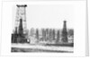 Signal Hill Oil Derricks by Anonymous