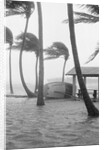 Boat Overturned By Hurricane Winds by Anonymous