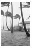 Boat Overturned By Hurricane Winds by Anonymous