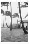 Boat Overturned By Hurricane Winds by Anonymous