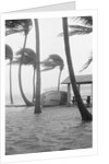 Boat Overturned By Hurricane Winds by Anonymous