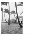 Boat Overturned By Hurricane Winds by Anonymous