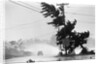 Water Falls/Car Stopped/Down Power Lines by Anonymous