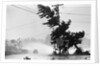 Water Falls/Car Stopped/Down Power Lines by Anonymous