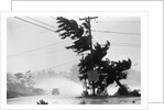 Water Falls/Car Stopped/Down Power Lines by Anonymous