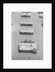 Aerial View Of Man On Roof In Flood by Anonymous