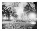 Capitol Building and Lawn After Hurricane by Anonymous
