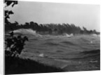 Rough Water and Blowing Palm Trees by Anonymous