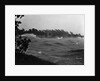 Rough Water and Blowing Palm Trees by Anonymous