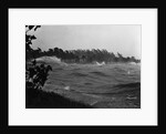 Rough Water and Blowing Palm Trees by Anonymous
