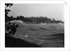 Rough Water and Blowing Palm Trees by Anonymous