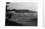 Rough Water and Blowing Palm Trees by Anonymous