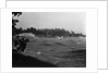 Rough Water and Blowing Palm Trees by Anonymous