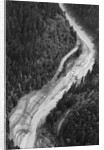 Aerial Flood Of Road Surrounded By Trees by Anonymous