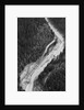 Aerial Flood Of Road Surrounded By Trees by Anonymous