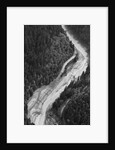 Aerial Flood Of Road Surrounded By Trees by Anonymous