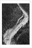 Aerial Flood Of Road Surrounded By Trees by Anonymous
