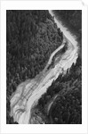 Aerial Flood Of Road Surrounded By Trees by Anonymous