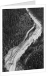 Aerial Flood Of Road Surrounded By Trees by Anonymous