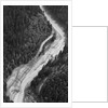 Aerial Flood Of Road Surrounded By Trees by Anonymous