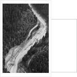 Aerial Flood Of Road Surrounded By Trees by Anonymous