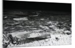 Craters Of Moon; Surface by Anonymous
