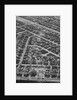 Aerial View Shows Tornado'S Path by Anonymous