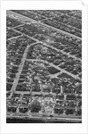 Aerial View Shows Tornado'S Path by Anonymous