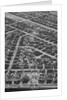 Aerial View Shows Tornado'S Path by Anonymous
