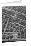 Aerial View Shows Tornado'S Path by Anonymous