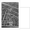 Aerial View Shows Tornado'S Path by Anonymous