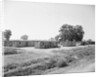 General View Of Boxcar Shanty Town by Anonymous
