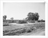 General View Of Boxcar Shanty Town by Anonymous