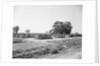 General View Of Boxcar Shanty Town by Anonymous