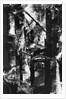Structure Of House Engulfed In Flames by Anonymous