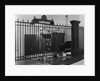 Iron-Grilled Mortgage Window by Anonymous