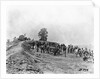 Mathew B. Brady W/Civil War Battery by Anonymous