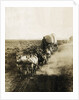 Covered Wagons on the Plains Going West by Anonymous