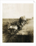 Covered Wagons on the Plains Going West by Anonymous