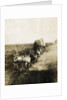 Covered Wagons on the Plains Going West by Anonymous