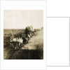 Covered Wagons on the Plains Going West by Anonymous
