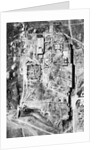 Aerial Of The Ruins Of Persepolis by Anonymous