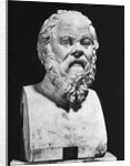 Bust Of Socrates by Anonymous