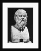 Bust Of Socrates by Anonymous