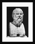 Bust Of Socrates by Anonymous
