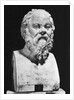 Bust Of Socrates by Anonymous