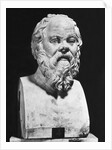 Bust Of Socrates by Anonymous