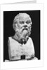 Bust Of Socrates by Anonymous