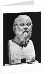 Bust Of Socrates by Anonymous